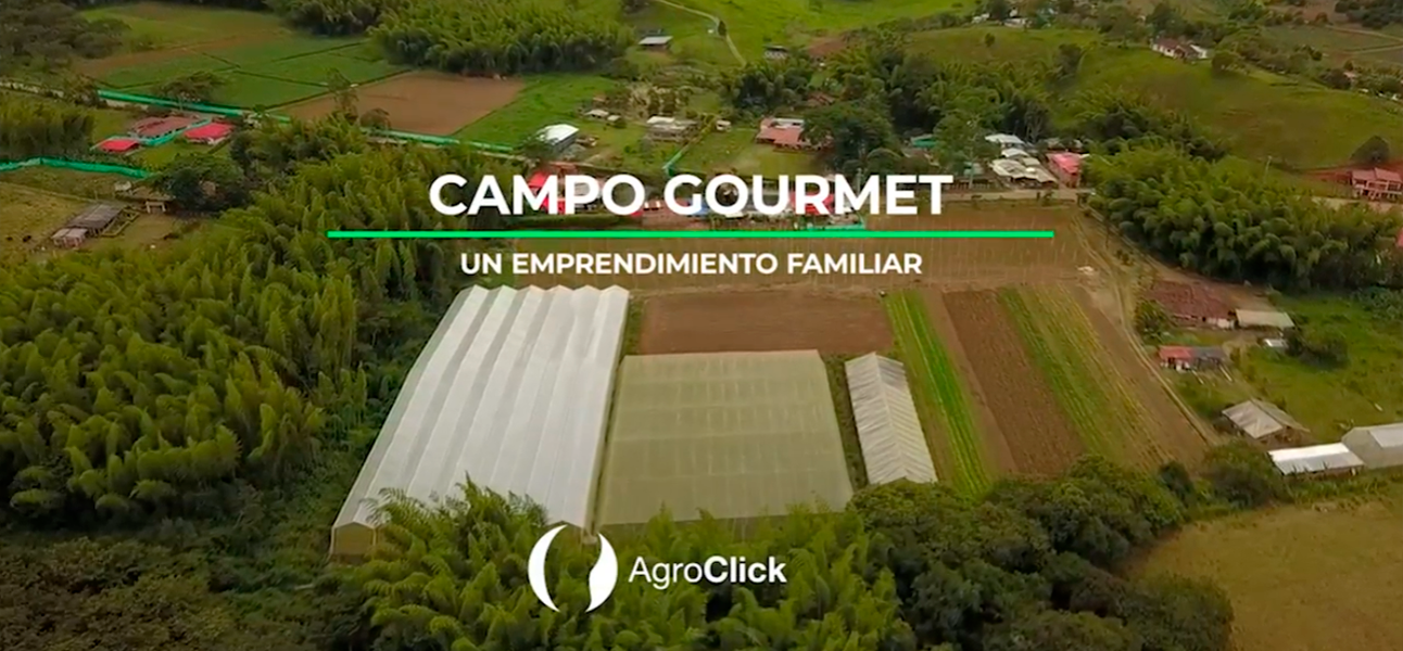 Campo Gourmet