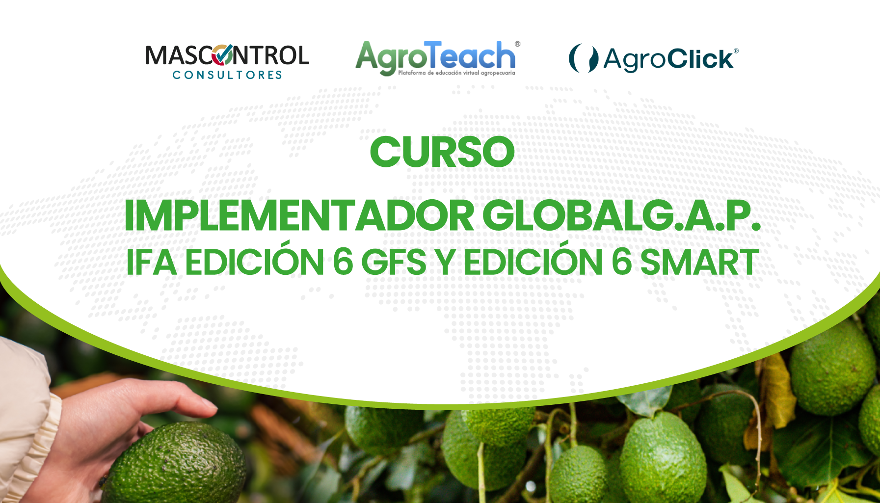 Curso: Implementador GlobalG.A.P. IFA Edición 6 GFS Y Edición 6 Smart